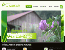 Tablet Screenshot of cabriolait.com